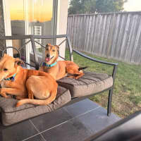 Photo of Snickers & Caramel