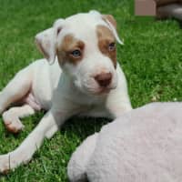Photo of Yondu