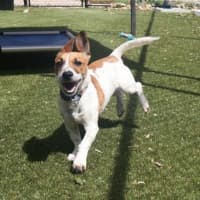Photo of Bosley