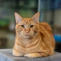 Photo of Maverick