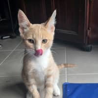 Photo of Henumi 💙