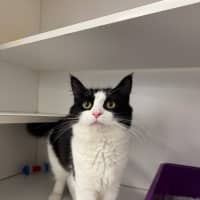 Photo of Elsie & Tommy