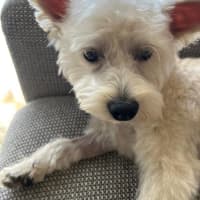 Photo of Lily Peggotty