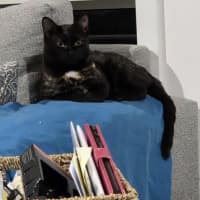Photo of Aurora