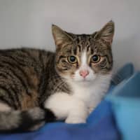 Photo of Poppi