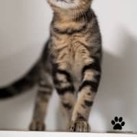 Photo of Tom