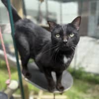 Photo of Little Buddy