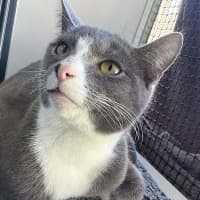 Photo of Scooter