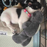 Photo of Murphy Muddle