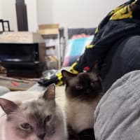 Photo of Crystal