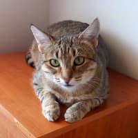 Photo of Esmerelda (Essie) 