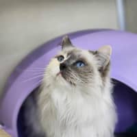 Photo of ⭐ Missy 6436 ⭐