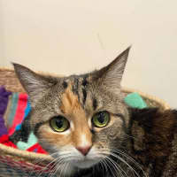 Photo of Dorothy