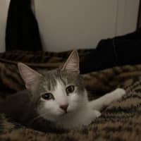 Photo of Lil Sabrina