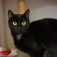Photo of Mavis