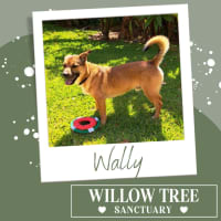 Photo of Wally
