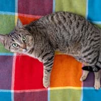 Photo of Oliver