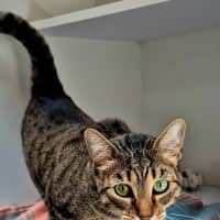 Photo of Linda (6749)