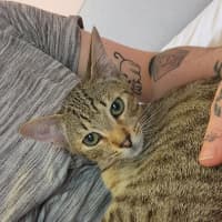 Photo of Woody & Chester 