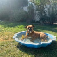Photo of Wally