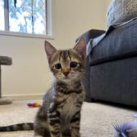 Photo of Tim Tam