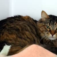 Photo of August Rsua010511