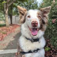 Photo of Maverick