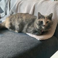 Photo of Pippy