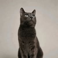 Photo of Max