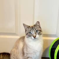 Photo of Gus