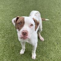 Photo of Maggie
