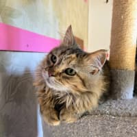 Photo of Carlita
