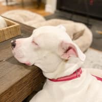 Photo of Grace