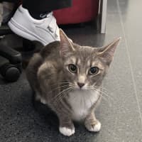 Photo of Willow