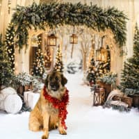 Photo of Hercules