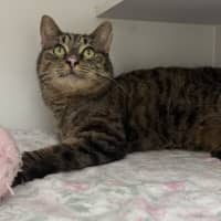 Photo of Mrs. Scraps