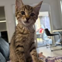 Photo of Bonnie 🍇