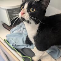 Photo of Ketchup