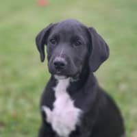 Photo of Walter