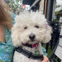 Photo of Oscar And Tilly Tamblyn