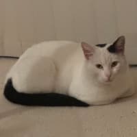 Photo of Bosco