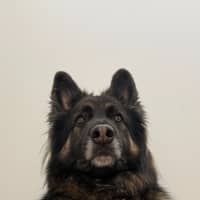 Photo of Kai