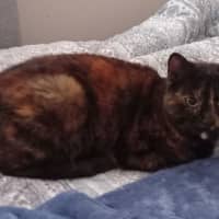 Photo of Missy