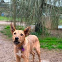 Photo of Lexi 