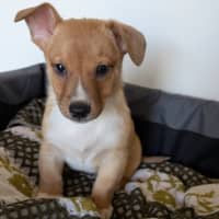 Photo of Eggsy