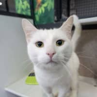 Photo of Tom