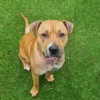 Photo of Twist