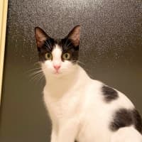 Photo of Alice (Alli)