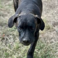 Photo of Tyrone