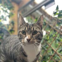 Photo of Sutton   Best Buds With Kevin   Check His Profile